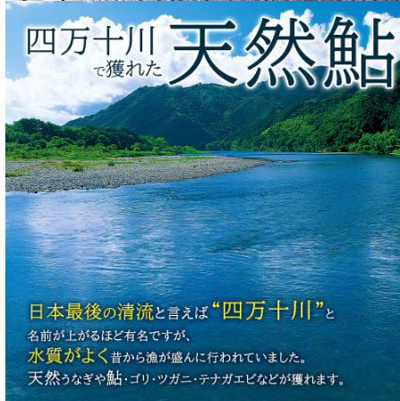 鰹の塩たたきと天然鮎塩焼きセット　カツオのたたき　かつお　高知　四万十川　あゆ　タタキ　司