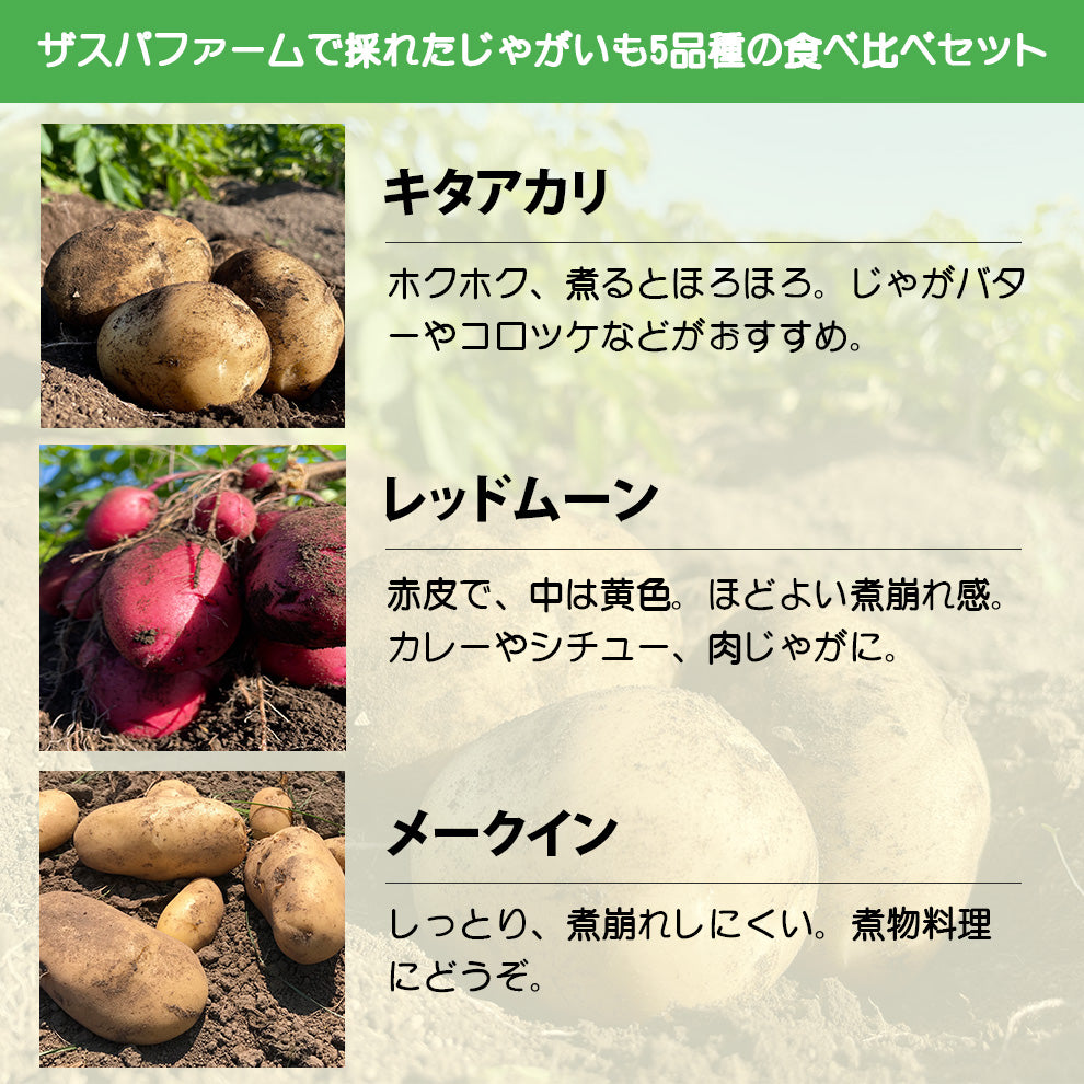 ザスパファームのじゃがいも食べ比べセット(5品種5kg)※沖縄県配送不可※