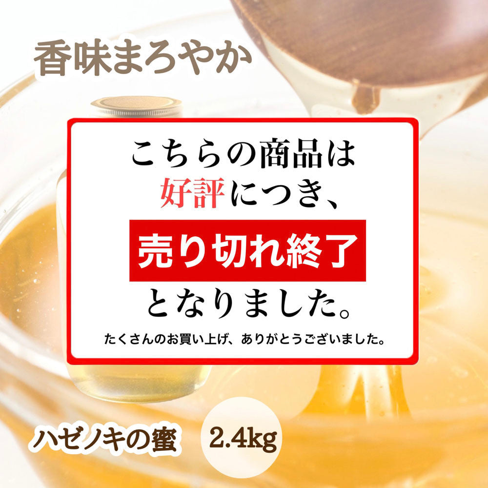 はちみつ　令和7年度産　新蜜　香味まろやか　「ハゼノキの蜜」 愛媛県産　松山中島産純粋ハチミツ　ハゼノキの蜜　2.4kg