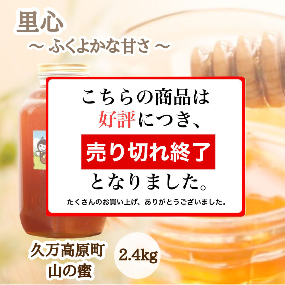 はちみつ　令和7年度産　新蜜　里心～ふくよかな甘さ～　「久万高原町山の蜜」 愛媛県産　愛媛県久万高原町産純粋ハチミツ　久万高原町山の蜜　2.4kg