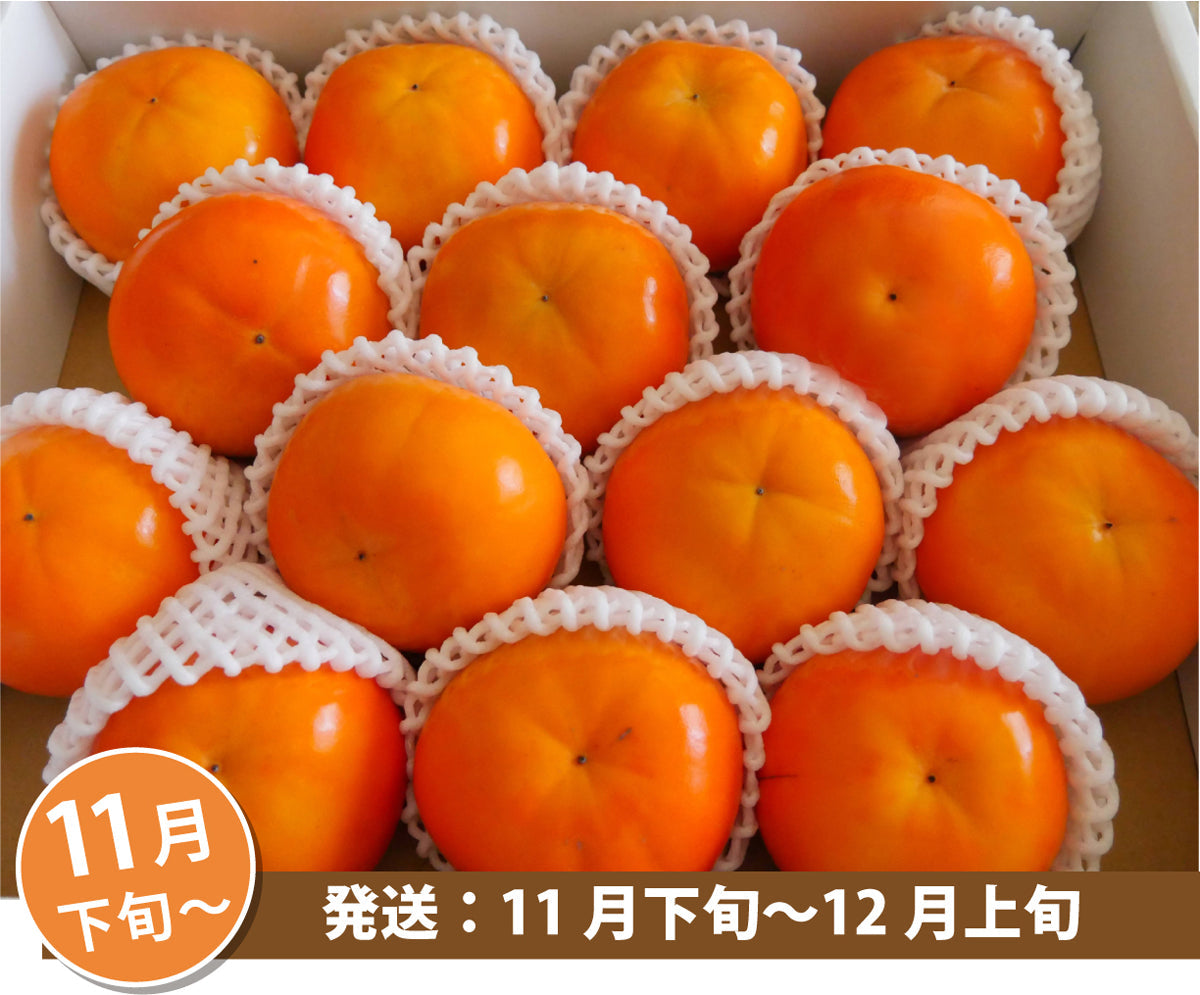 ＜定期便＞樹上完熟！★柿 ★定期便 3回コース【福岡県産】
