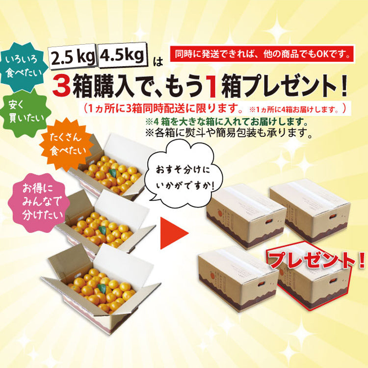 懐かしい美味しさ。食べ応え満点！！★とっても大きなミカン ≪2L～3Ｌサイズ≫★