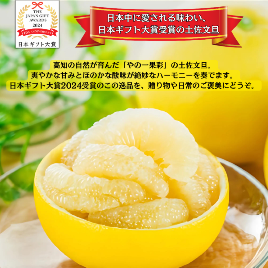 【日本ギフト大賞受賞】園主こだわり土佐文旦 家庭用 3kg（5～7玉）文旦 ぶんたん ブンタン 高知 みかん 国産みかん 果物 柑橘 フルーツ 訳あり 旬  冬 春  美味しい 甘い お取り寄 人気【新聞企画おすすめの逸品定期便】
