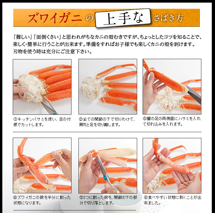 本ズワイガニ 脚 1.5kg (5-7肩前後/3人前)【送料無料】 | 47CLUB