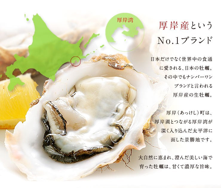 北海道 厚岸産 牡蠣 (カキえもん) 殻付き 9個(M・Lサイズ) 殻むきナイフ付 送料無料