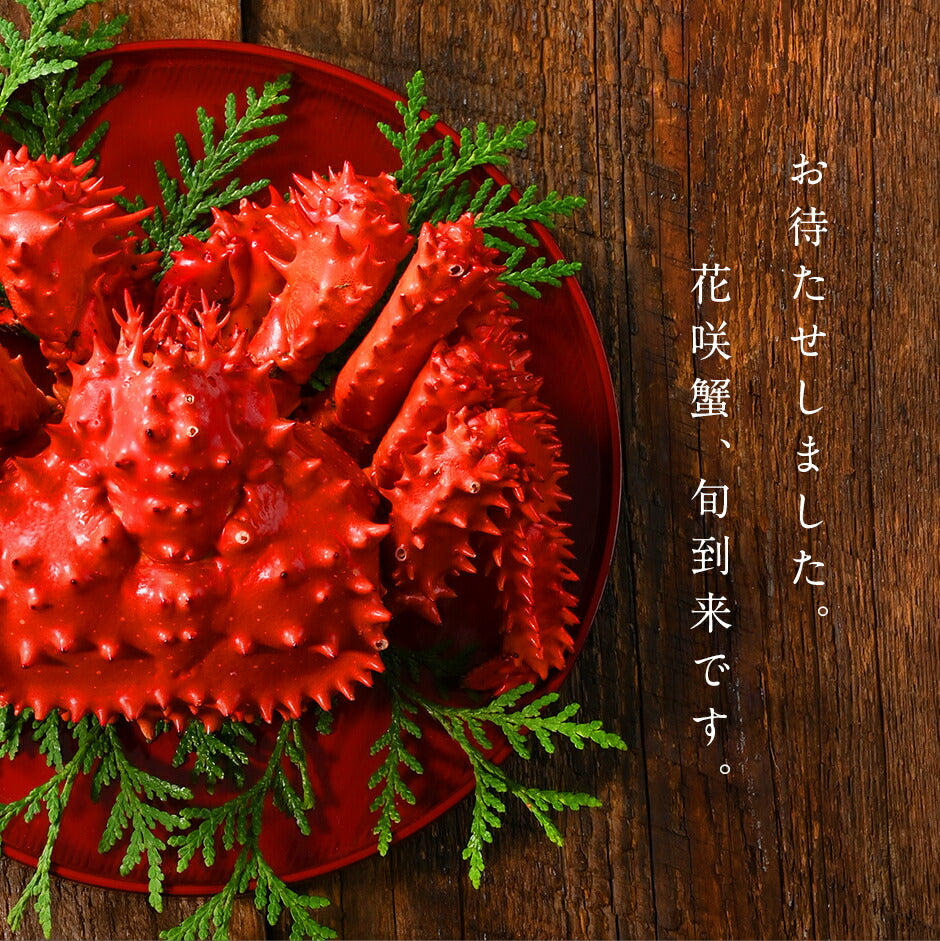 【水揚げ次第お届け】【獲れたて未冷凍】根室産 チルド花咲ガニ(姿) 700g前後 【送料無料】【2025年新物】