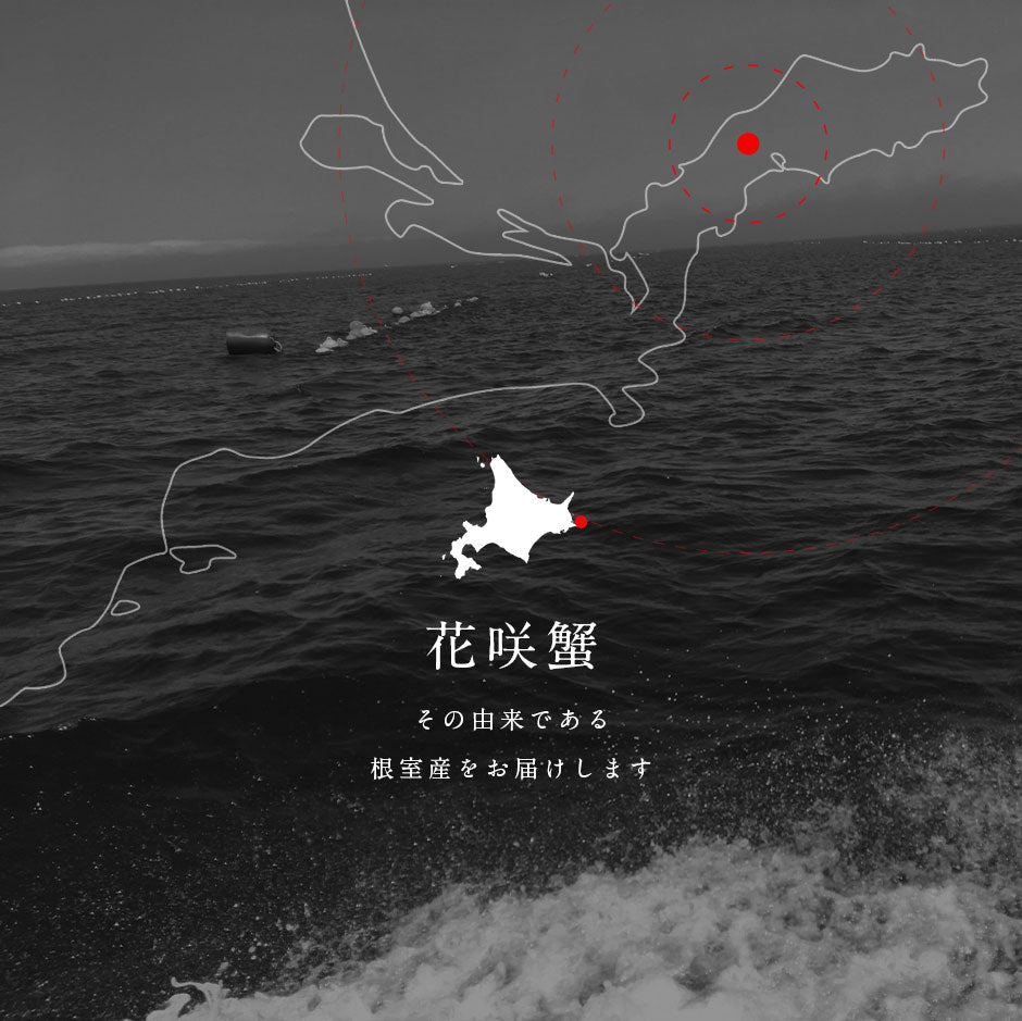 根室産 花咲ガニ姿（ボイル済み）【送料無料】