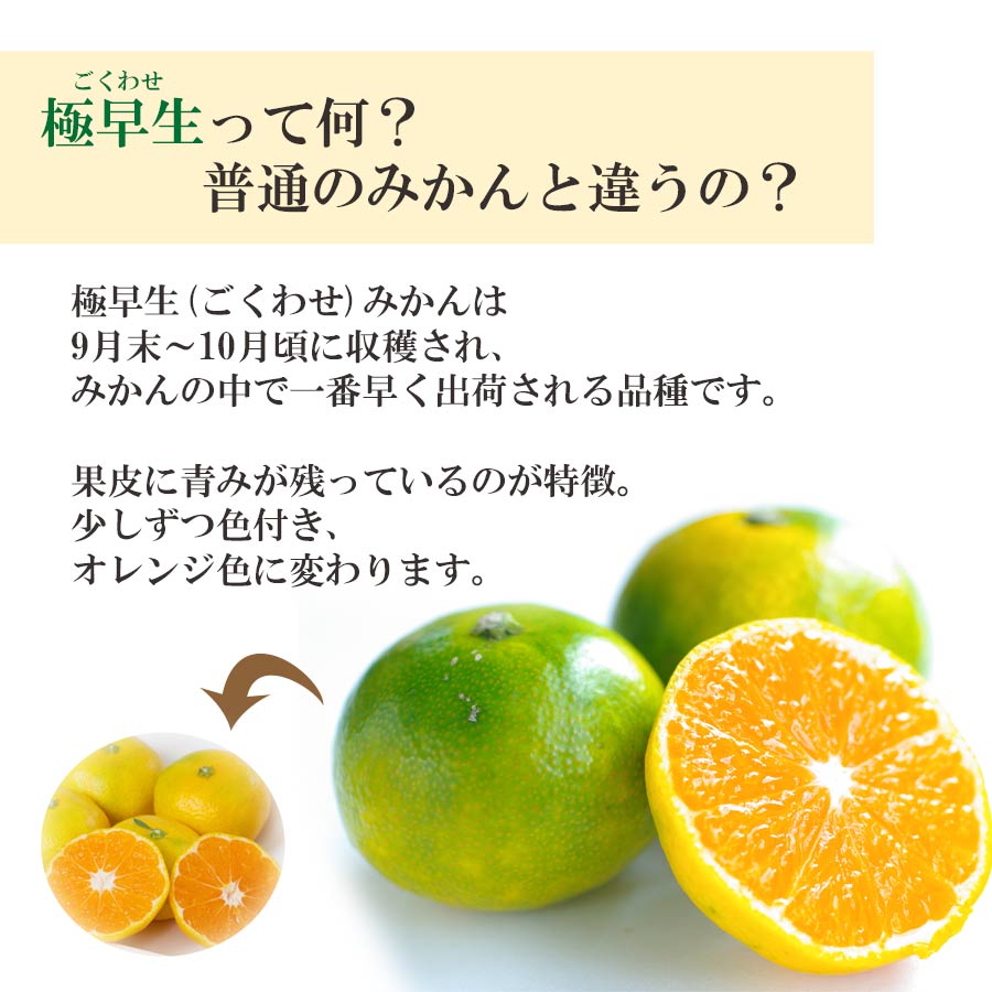 新品 みかん 夢工房くまの みかん100%レギュラーミニ | 飲料 | おかげ横丁