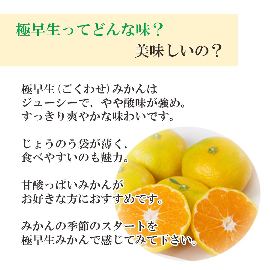 愛媛産 極早生みかん 訳あり 小玉 S～3Sサイズ限定 | 47CLUB – 名産