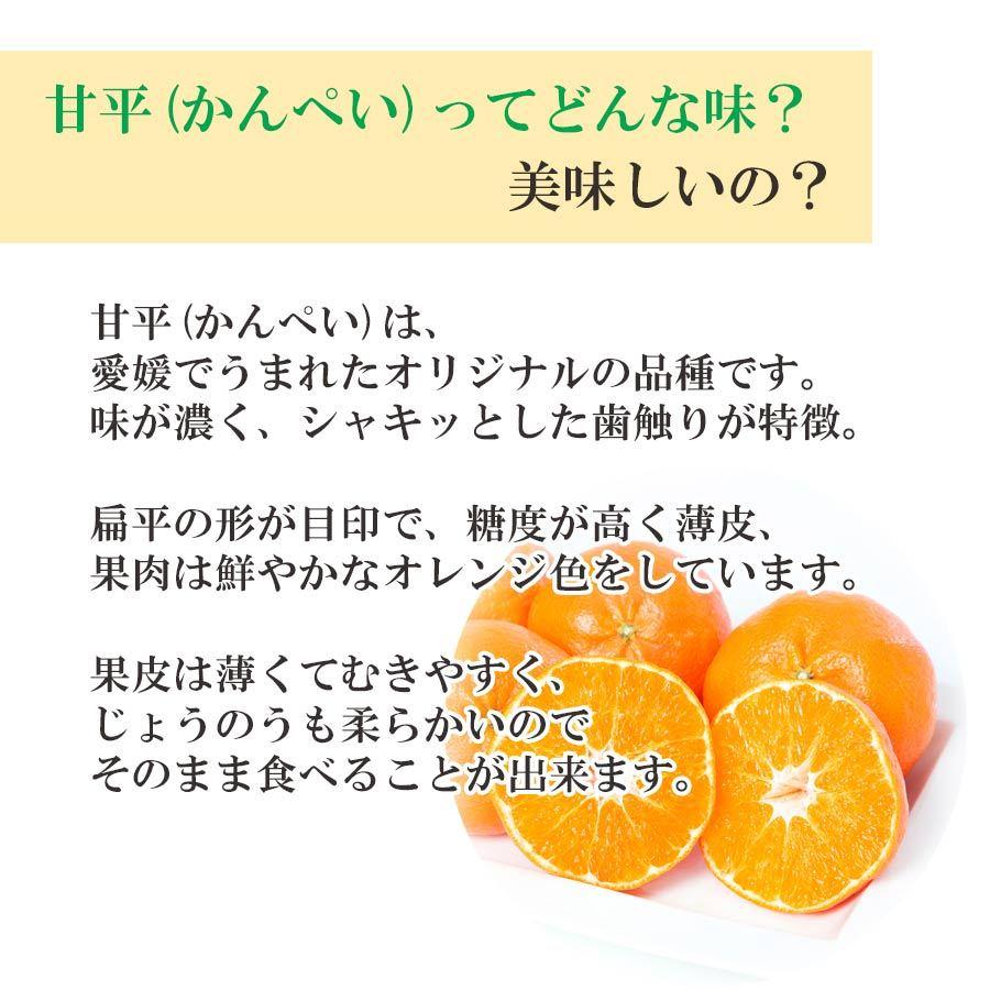 愛媛県限定栽培品種 甘平（かんぺい） 贈答箱入り 6～8個（約2kg）