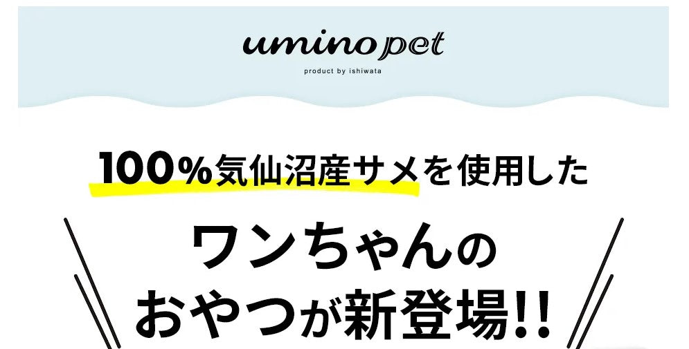 「送料無料」UMINO PET しつけジョーズ（サメフレーク）40g 犬用 ペットフード ペットおやつ