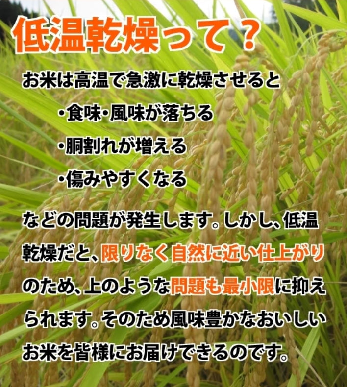 【濃厚な味わいの仁多米！】森原さんちのコシヒカリ5kg ７年産新米【送料込み】