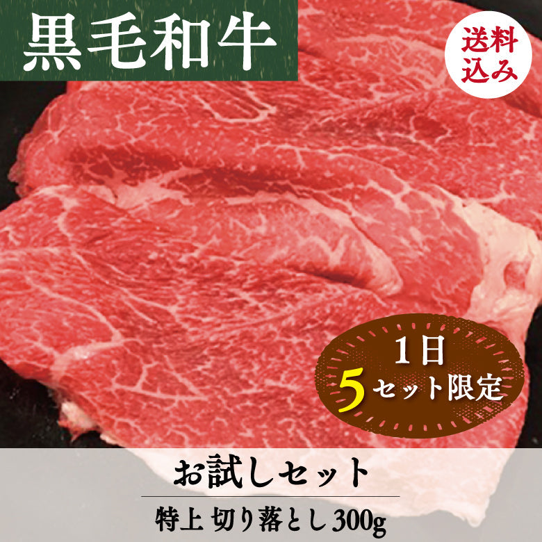 【1日5セット限定!】【送料込のお試しセット】あしや竹園特選  黒毛和牛 特上切り落とし 300g