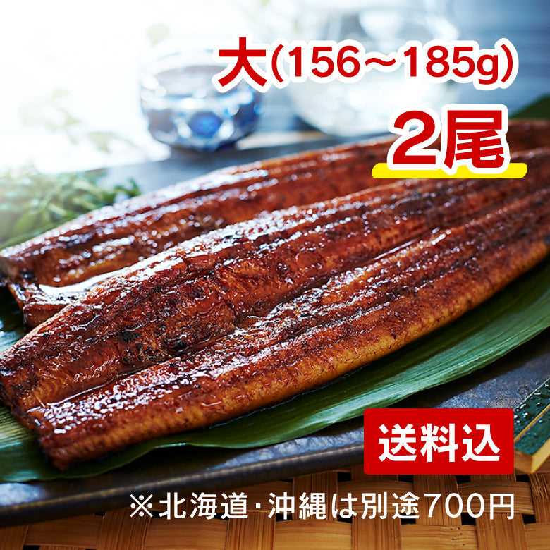 鹿児島県産うなぎ蒲焼　大２尾（送料込み）