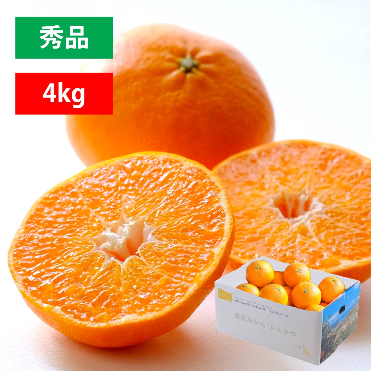 予約商品】愛媛限定栽培品種 甘平（かんぺい） | 47CLUB – 名産・特産