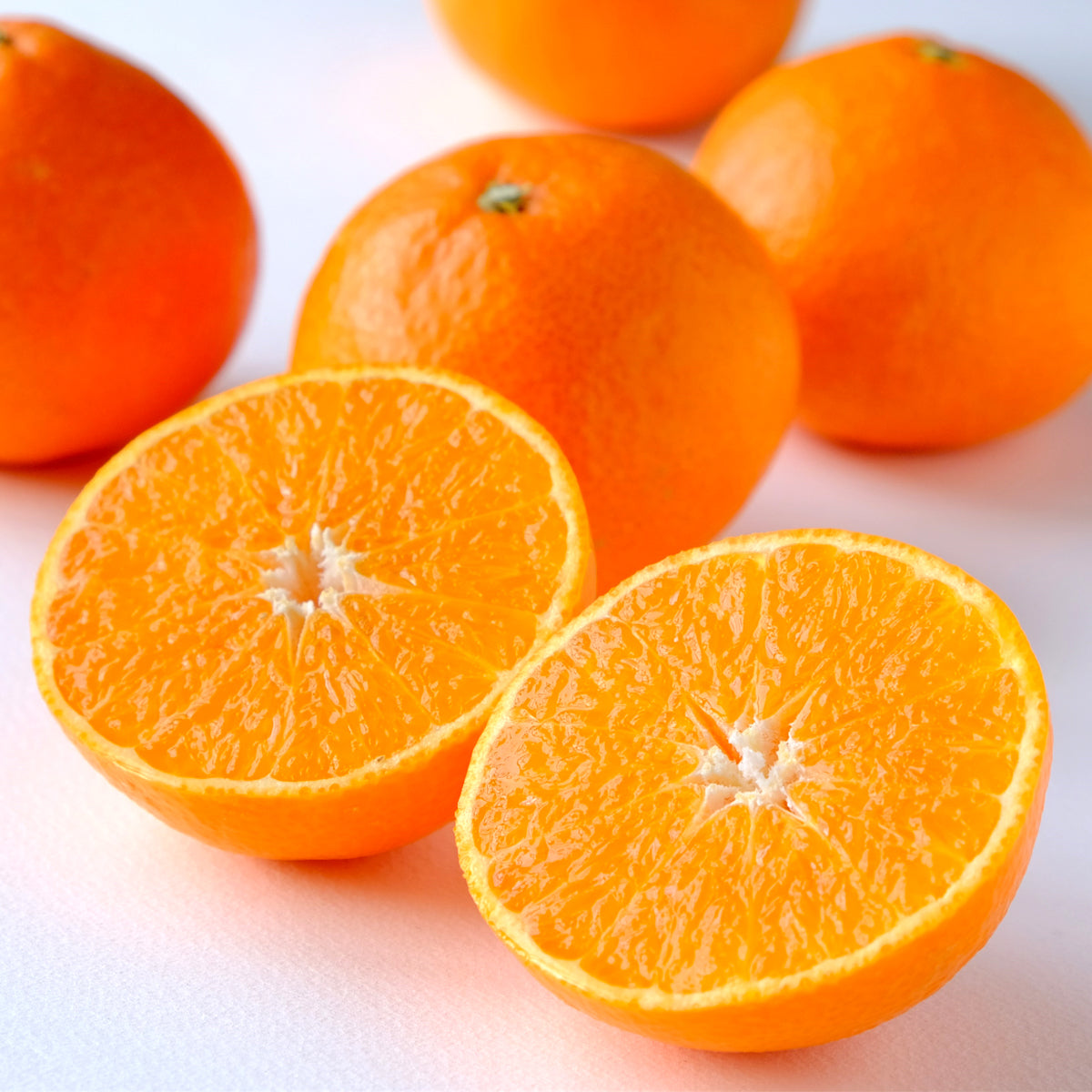 愛媛県限定栽培品種 まごころまどんな【訳あり】