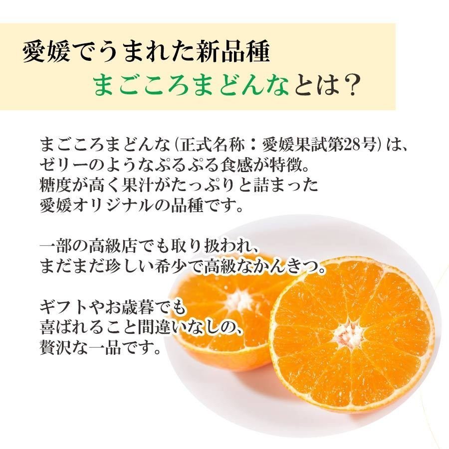 【数量限定再入荷】今季最終！完熟 愛媛県限定栽培品種 まどんな
