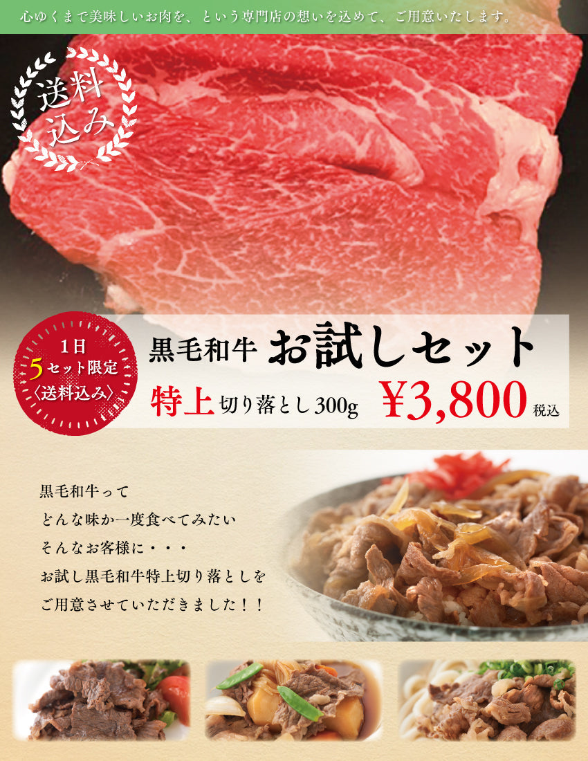 【1日5セット限定!】【送料込のお試しセット】あしや竹園特選  黒毛和牛 特上切り落とし 300g