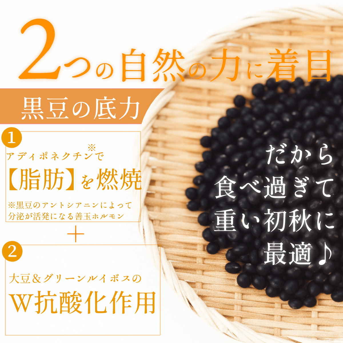 【秋ひめ桑茶５袋セット・送料無料】 スリム応援 国産黒豆使用　季節限定　健康茶
