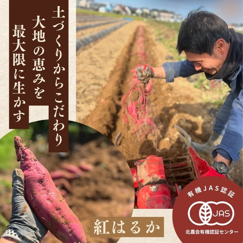 【新商品】農家が作った熟成干し芋〈紅はるか〉120g×2パック｜レターパック便