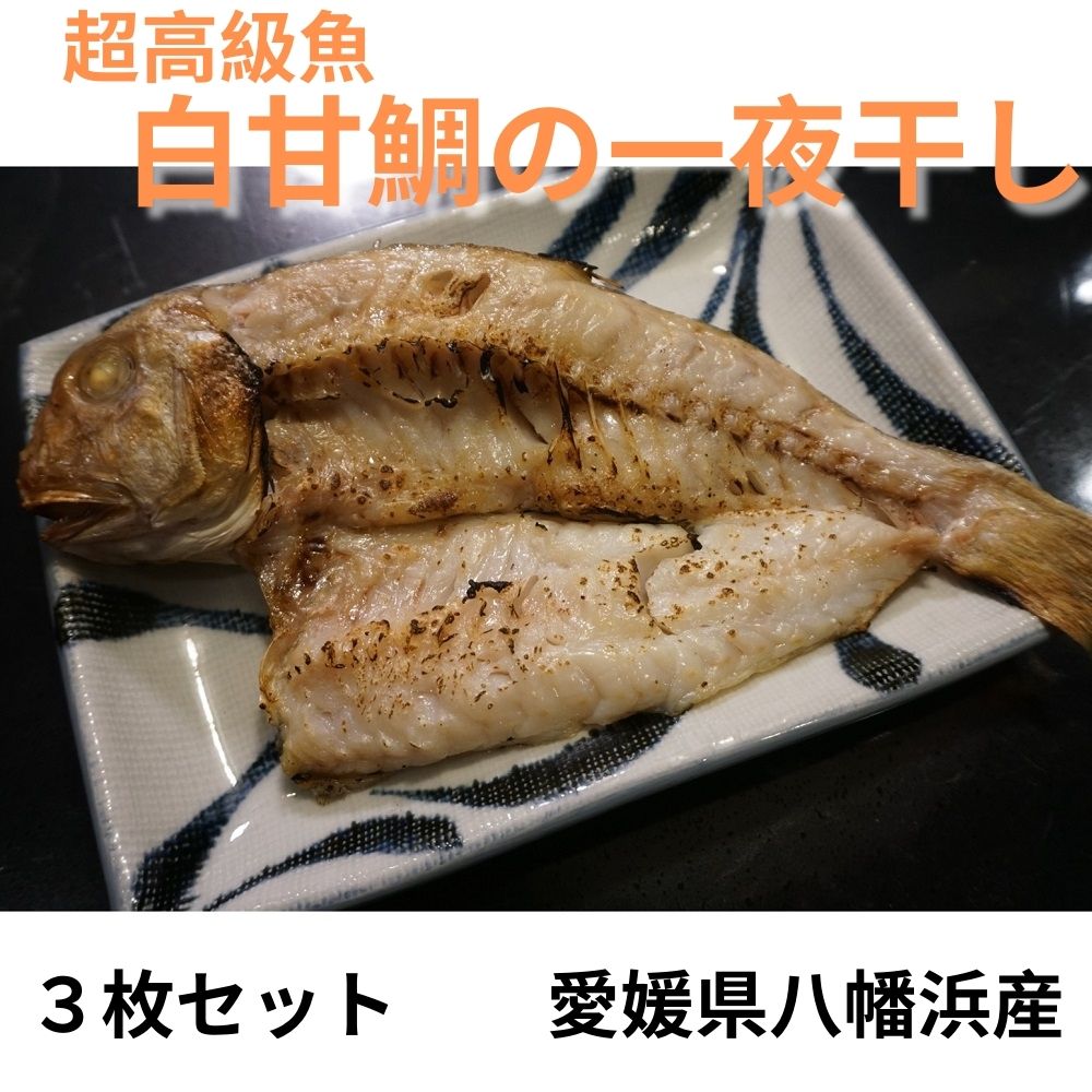愛媛八幡浜産　超高級魚・白甘鯛の一夜干し　３枚セット【送料無料】（北海道、沖縄は追加料金必要）