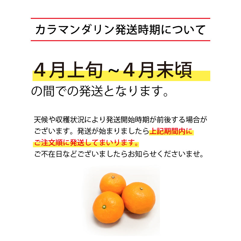 ※今季販売終了※【送料無料】春のみかん「カラマンダリン」〈優品・家庭用・小箱〉約3kg