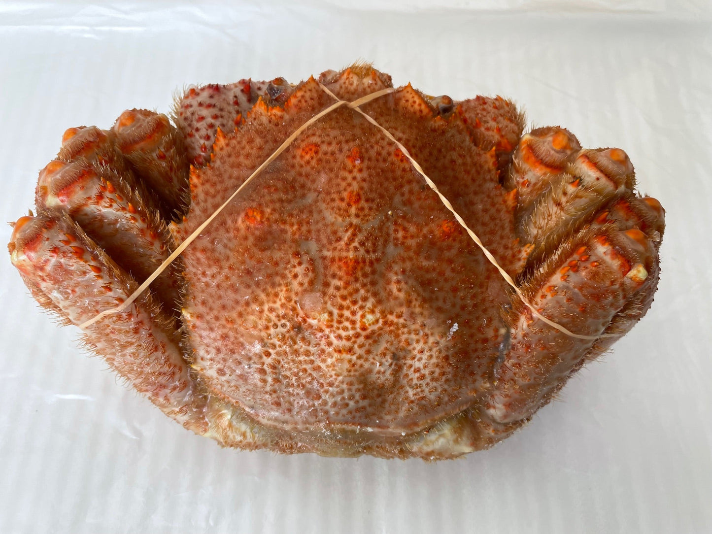 【数量限定大特価！】訳あり毛ガニ（500ｇ～570ｇ）～ 【カニ・鮮魚・魚介類】ギフト  2025 北海道産 海鮮