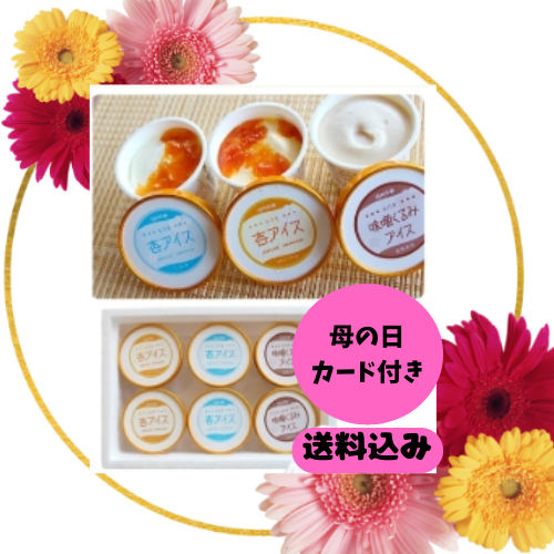 ☆母の日☆【送料込 沖縄のみ別途】　　　【杏アイス】【無添加】杏アイス２種類と味噌くるみアイスの３種6個セット【アイスクリーム・乳製品】
