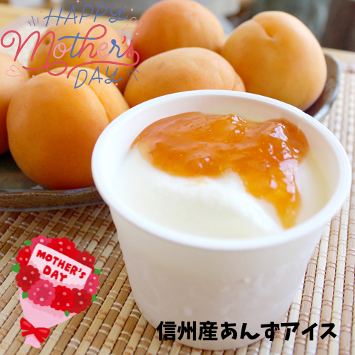 ☆母の日☆【送料込 沖縄のみ別途】　　　【杏アイス】【無添加】杏アイス２種類と味噌くるみアイスの３種6個セット【アイスクリーム・乳製品】
