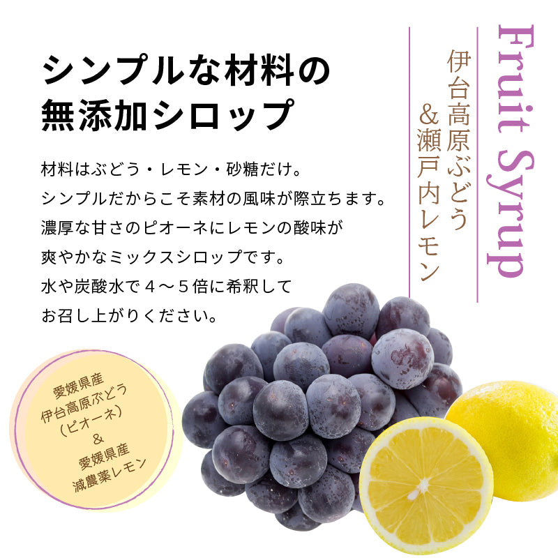 愛媛県産「フルーツシロップ」（2本セット）