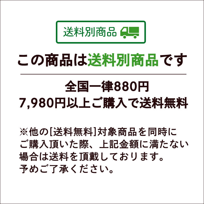 小城羊羹 抹茶味160g×2本【5月特集号6/15迄】【送料別】