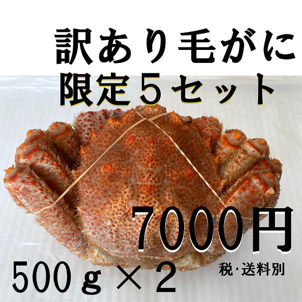 【数量限定大特価！】訳あり毛ガニ（500ｇ～570ｇ）～ 【カニ・鮮魚・魚介類】ギフト  2025 北海道産 海鮮