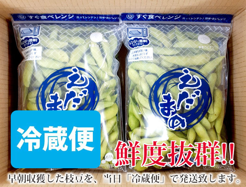 黒埼産 朝採り 新潟枝豆(1kg) 枝豆早生品種 いち早く旬の枝豆を