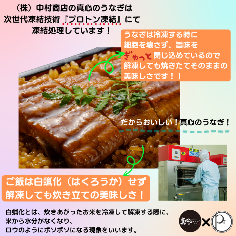 【宮崎・鹿児島県産】お歳暮　国産鰻　送料無料【鮮魚・魚介類】