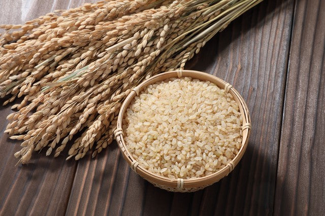 令和7年産特別栽培玄米ゆめぴりか30kg【玄米】