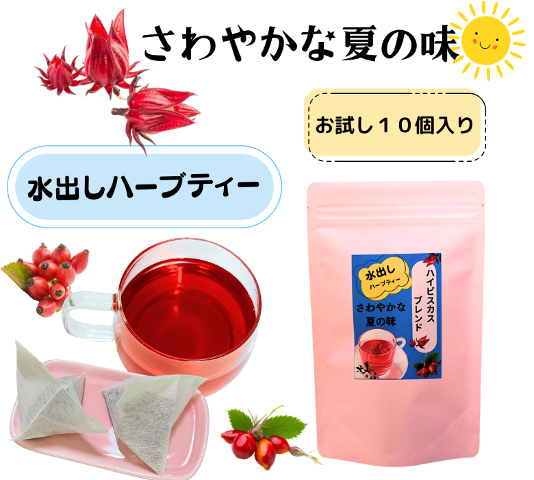 【お試し・送料無料】水出し『ハイビスカス ブレンド』１０個入り、さわやかな夏の味！