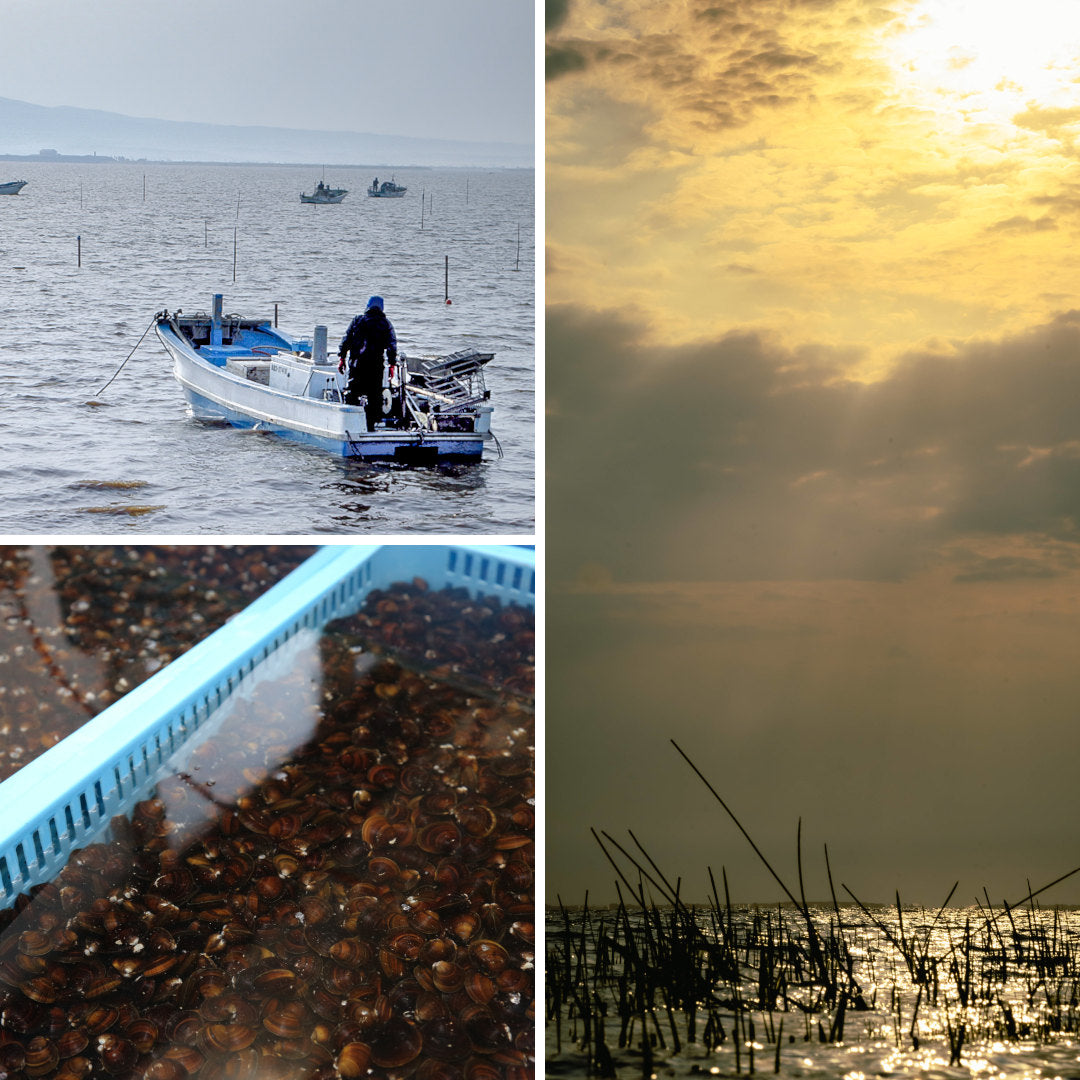 【送料無料】青森県産『大和しじみ汁 80食セット』(8食×10袋)お湯を注ぐだけで毎日しじみのエキスを！