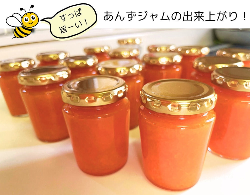 「愛媛のあんずジャム」 酸っぱさと旨みがギュッ!