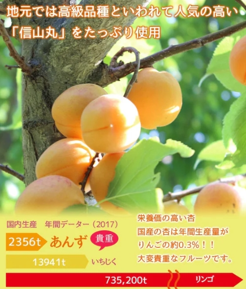 2025年度収穫分★濃い杏ドリンク★予約開始★大人気【限定200本】信州あんず高級品種★信山丸100％★生絞り「濃い杏」そのまま飲む★アプリコットドリンク★