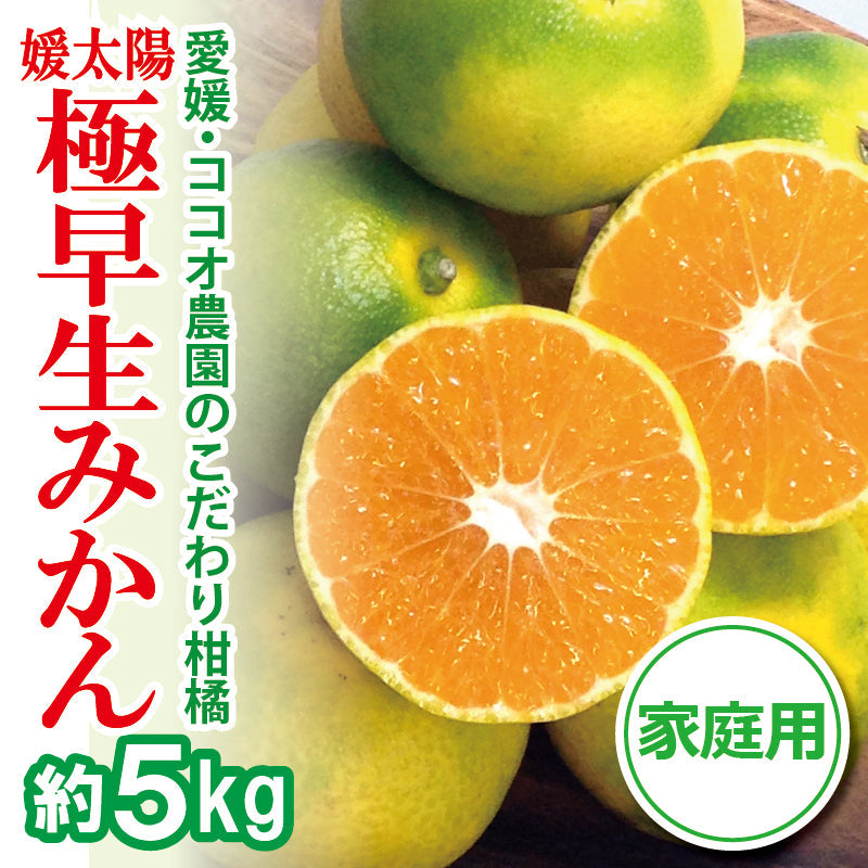 ※2025年9月頃より予約開始予定※愛媛県産「極早生みかん」〈家庭用〉約5kg