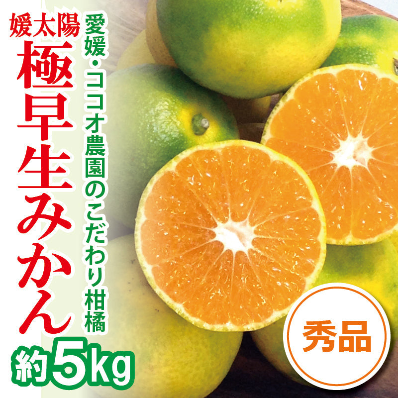 ※2025年9月頃より予約開始予定※愛媛県産「極早生みかん」〈秀品〉約5kg