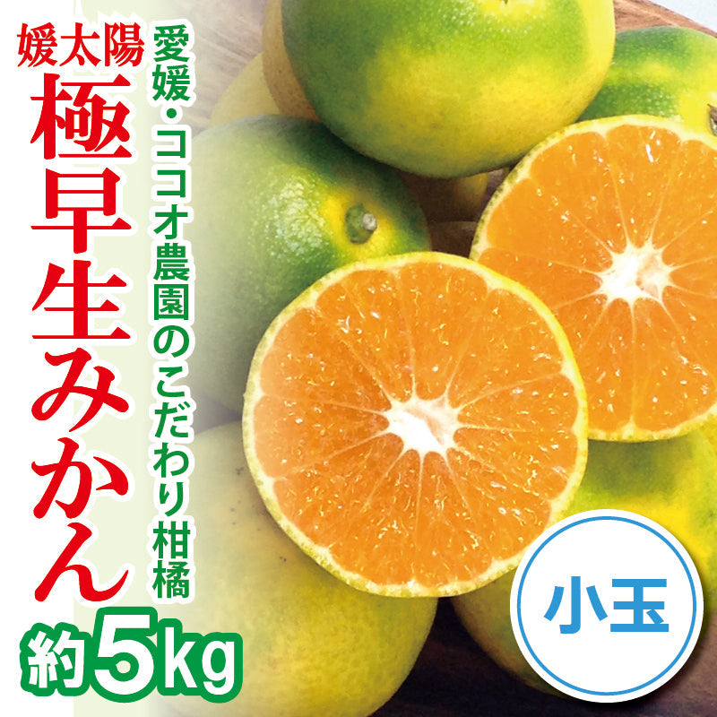 ※2025年9月頃より予約開始予定※愛媛県産「極早生みかん」〈家庭用・小玉〉約5kg