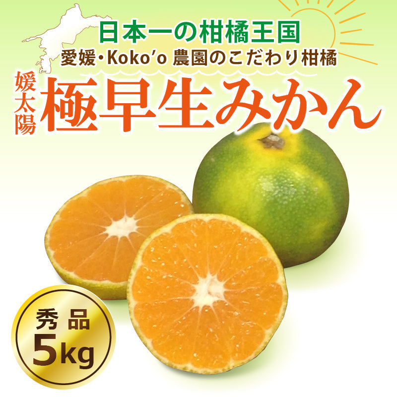 ※今季販売終了※愛媛県産「極早生みかん」〈秀品〉約5kg