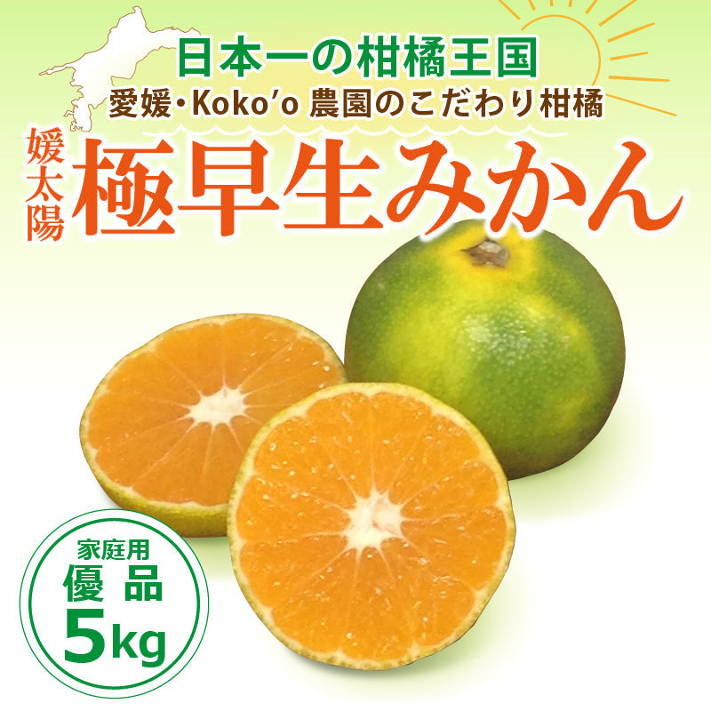 ※今季販売終了※愛媛県産「極早生みかん」〈家庭用・優品〉約5kg