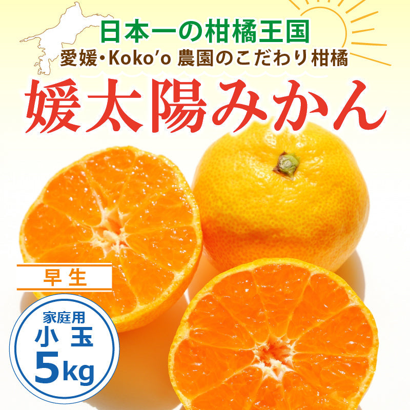 ※9月中旬頃予約開始予定※愛媛県産「温州みかん(早生)」‐媛太陽みかん-〈家庭用・小玉〉約5kg