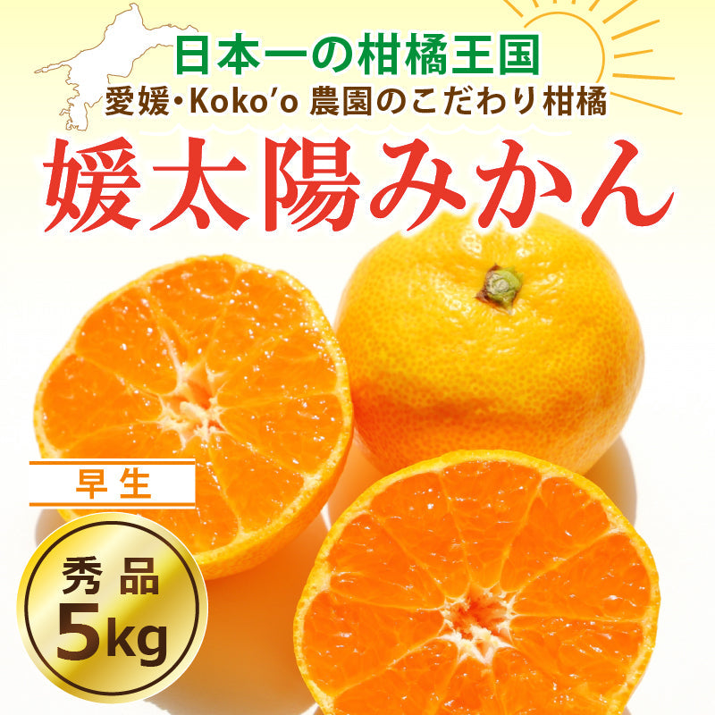 【※早割予約受付中※】愛媛県産「温州みかん(早生)」‐媛太陽みかん-〈秀品〉約5kg