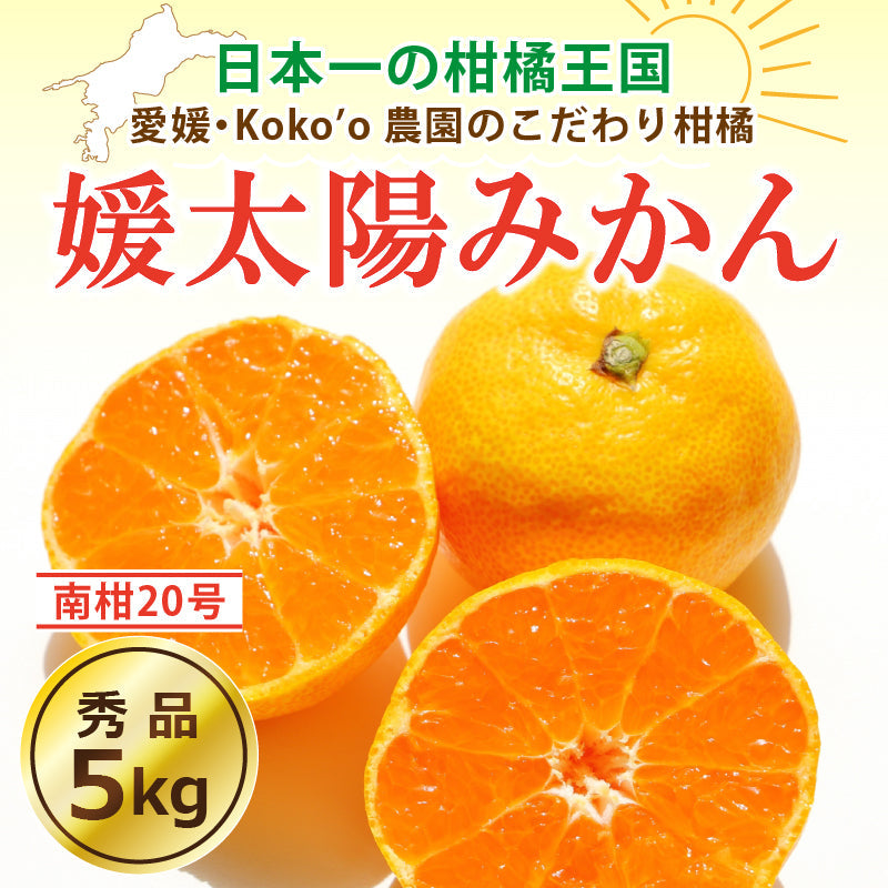 【※早割予約受付中※】愛媛県産「温州みかん(南柑20号)」‐媛太陽みかん-〈秀品〉約5kg