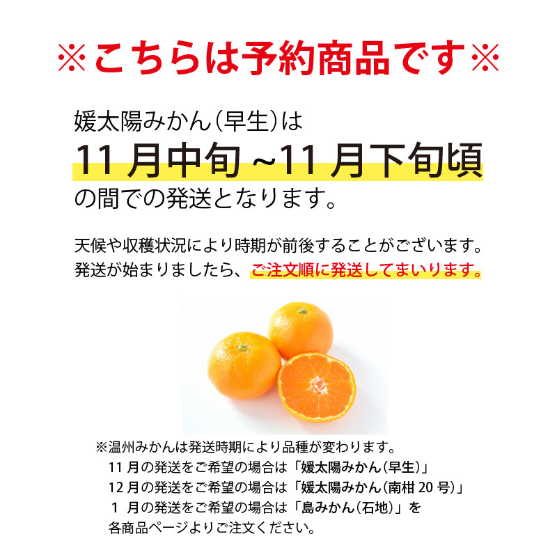 ※９月中旬頃予約開始予定※愛媛県産「温州みかん(南柑20号)」-媛太陽みかん-〈秀品・化粧箱〉約2.5kg