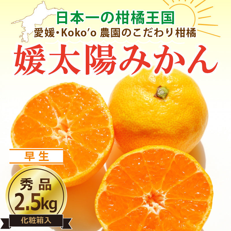 ※９月中旬頃予約開始予定※愛媛県産「温州みかん(早生)」-媛太陽みかん-〈秀品・化粧箱〉約2.5kg