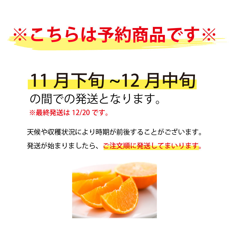 【※早割予約受付中※】【送料無料】訳あり媛太陽まどんな「ブサイクまどんな」〈家庭用・訳あり〉約3kg